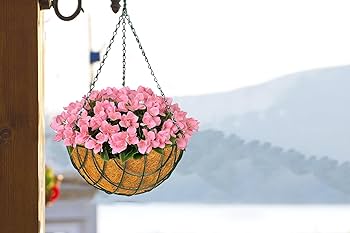 Product: Hanging Baskets